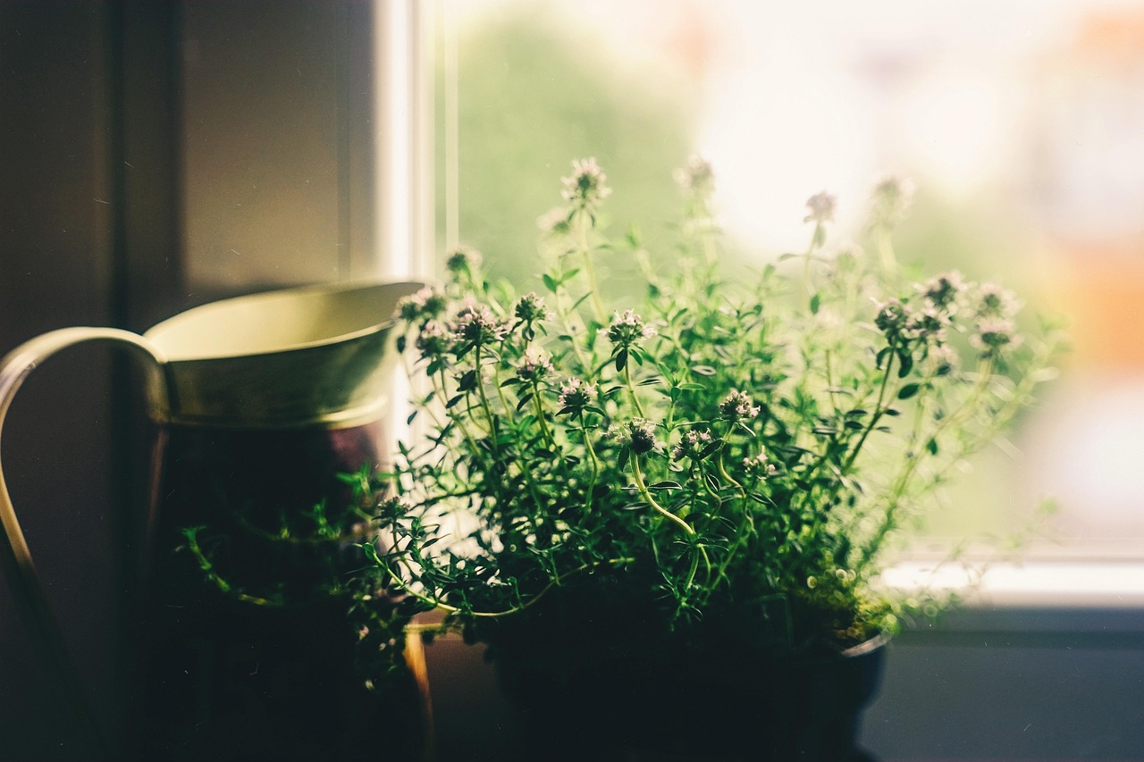 flower Image of a humidity reader, which displays the relative humidity of the room its in, as well as the temperature.